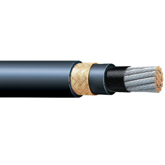 Oil and Gas LSXTPO Cable