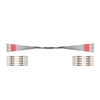 Igus LWL9040076 12Fiber Connector AB-ST incl. Conversion SC 62.5μm Multimode Gradient Glass Harnessed CFLG.G Optic Cable
