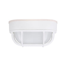 6.2 Watt 5000K 120V LED Outdoor Wall Fixture EOL-Wl14WH-3100se