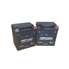 12V 30Ah Sealed Lead Acid Battery PIX30HLBS-FS (Pack of 2)