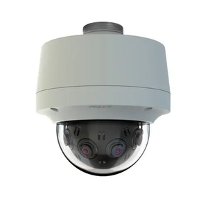 12 Megapixel 180 Degree Gray Panoramic Pendant Environmental Vandal Network Camera IMM12018-1EPUS