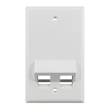 2 Port Angled Single Gang Ul Abs White Keystone Wall Plate S45-3202AW (Pack of 115)