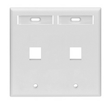Dual-Gang Quick Port Wall plate with ID Windows 42080-2WP