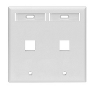 Dual-Gang Quick Port Wall plate with ID Windows 42080-2WP