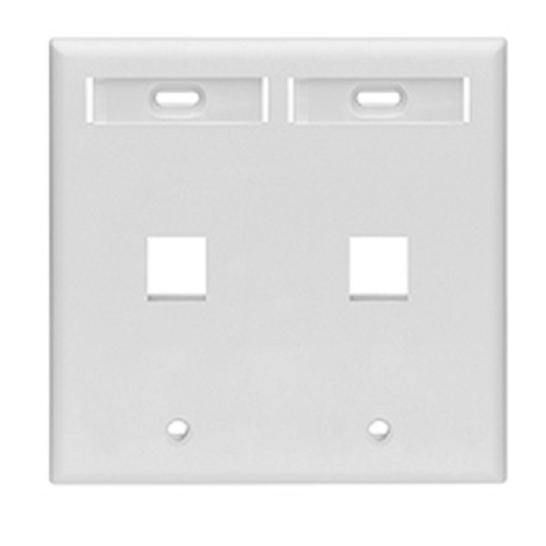 Dual-Gang Quick Port Wall plate with ID Windows 42080-2WP