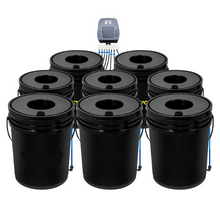 hydro ponics