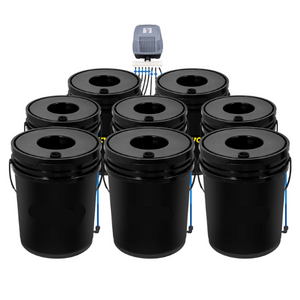 hydro ponics