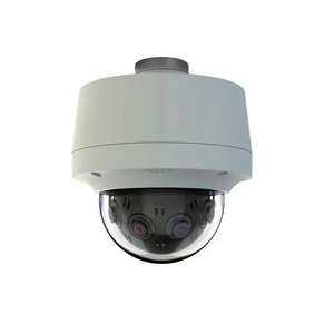 12 Megapixel 360 Degree Gray US Panoramic Pendant Environmental Vandal Network Camera IMM12036-1EPUS