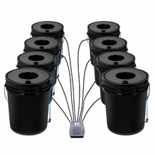 8bucket hydroponic