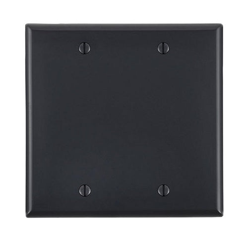 2-Gang Blank Wallplate Black 80725-E