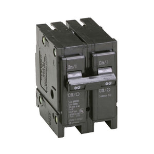 2 Pole Thermal Magnetic Circuit Breaker Type BR 1-inch Plug-on BR260