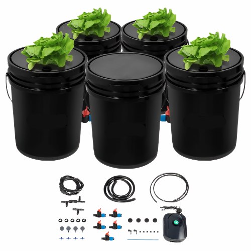 DWC hydroponic