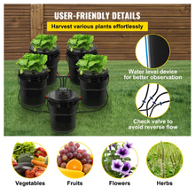 hydroponic system