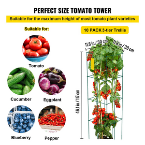 tomate stake