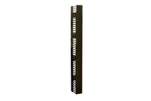 Velocity Double-Sided Black Vertical Cable Manager 6'H 38U Racks 70"H x 3.6"W x 16.4"D CPI 13911-701