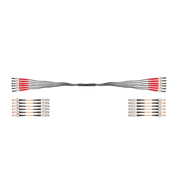 Igus LWL9040061 12Fiber Connector AB-ST incl. Conversion SC 50μm Multimode Gradient Glass Harnessed CFLG.G Optic Cable