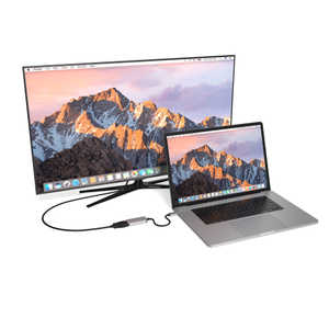 60Hz USB-C to DisplayPort 4K Adapter X40014