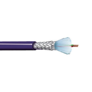 Belden 3079E 22 AWG 1 Pair DataBus Braid Shield FRFPE Insulation Profibus Cable