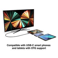 60Hz DuraGuard USB-C to DisplayPort 4K Cable X40020