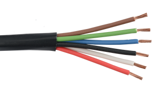 Belden 6200UE 16 AWG 2C CMP Plenum Unshielded 300V Commercial Audio System Cable