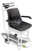 Weighbeam Chair Scale Detecto 475