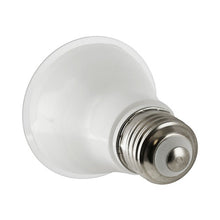 5.5W 3000K PAR20 LED Spot Light EP20-5000cecw-2