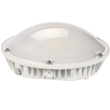 Aeralux Vermont Series 25-Watts 4000K CCT Outdoor Canopy Light