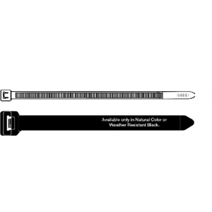 TIEN-DAL780-12.7L 30.7" Length 0.50" Width Nylon 66 Cable Heavy Duty Locking And Lashing Ties