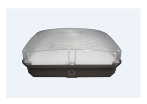 40W 5000K CCT LED Canopy Light (Pack of 6)