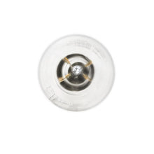 4.5 Watt 2700K E12 120V Filament LED Light VB10-3020e-4