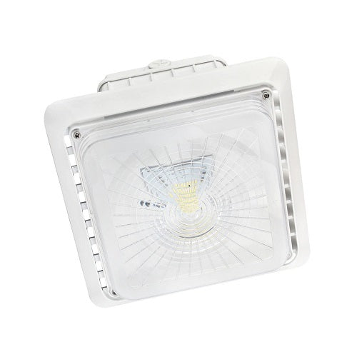 LEDSION Newly Canopy 55W ,5800-6000LM,100-277V ,UL driver