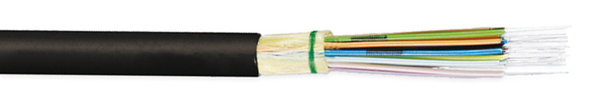 24 Fiber Optic Singlemode Riser Indoor/Outdoor Tight Buffered Cable