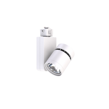 Aeralux Osiris 43-Watts 4000K CCT Silver Premium Wide Flood Light Lightolier Mounting Track Light